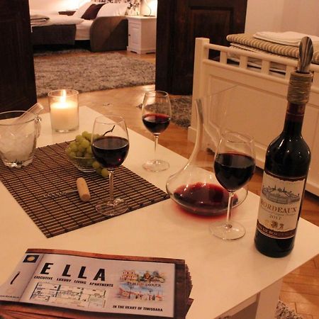 Ella Apartment Timisoara No9 Экстерьер фото