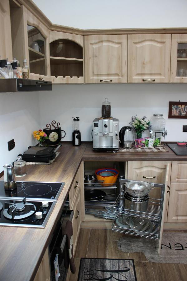 Ella Apartment Timisoara No9 Экстерьер фото