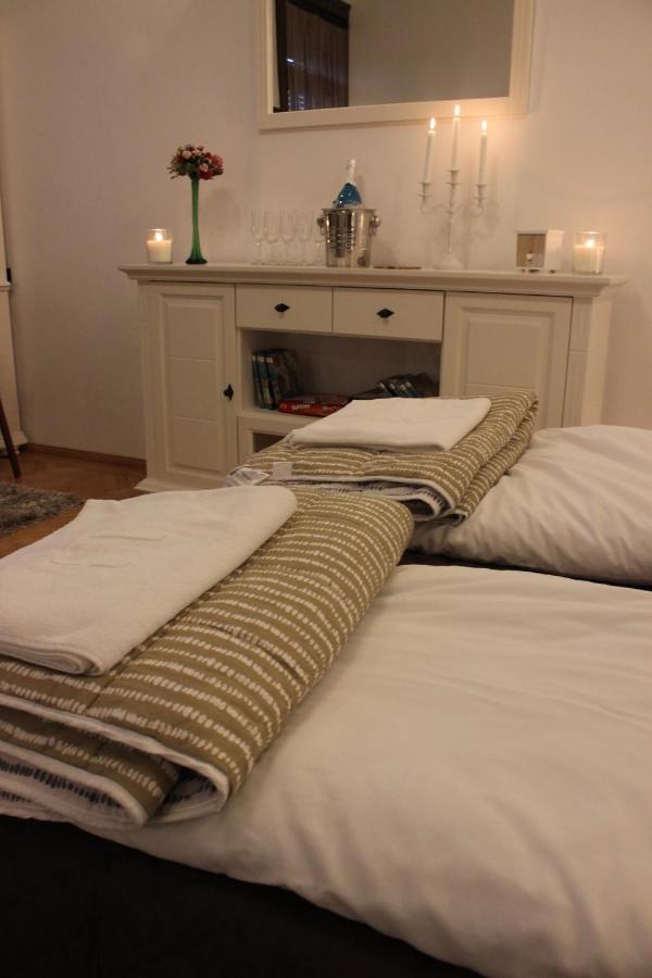 Ella Apartment Timisoara No9 Экстерьер фото