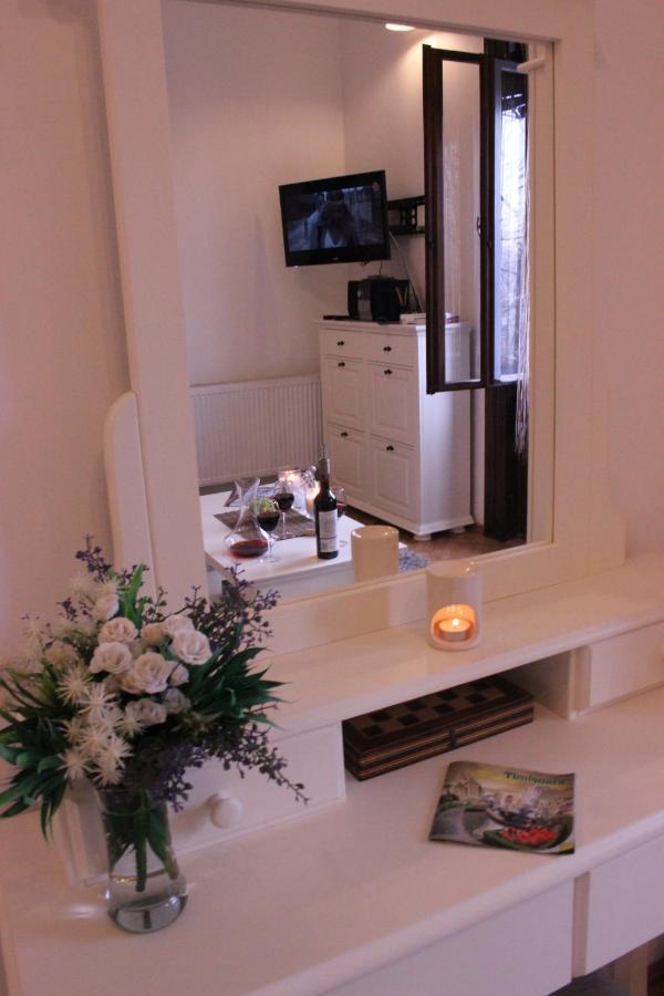 Ella Apartment Timisoara No9 Экстерьер фото